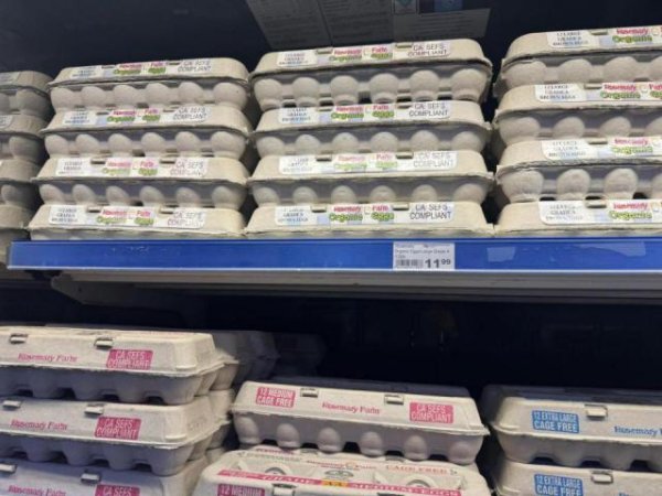 线上股票配资门 当特朗普关税大棒“乱挥”，外贸人开始绝地反击