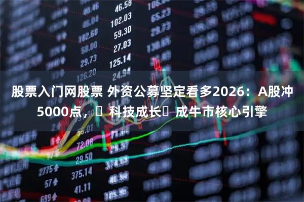 股票入门网股票 外资公募坚定看多2026：A股冲5000点，‌科技成长‌成牛市核心引擎